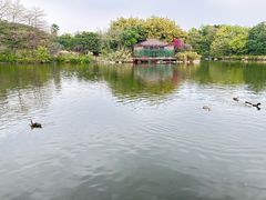 -海珠湖公园