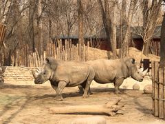 -北京野生动物园