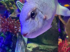 -沈阳海洋探索中心