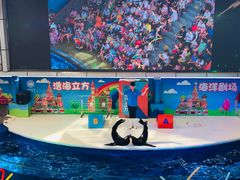 -成都浩海立方海洋公园