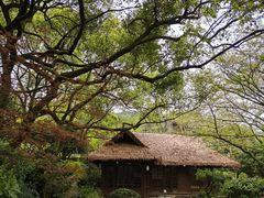 -中国茶叶博物馆(双峰馆区)