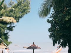 -那琴半岛地质海洋公园