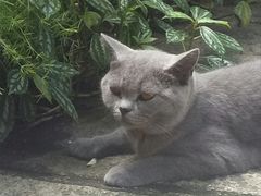 -厦门良筑精品酒店(厦门中山路店)