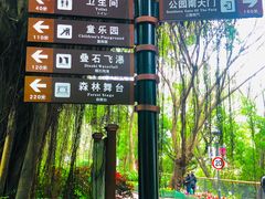 -金鸡山公园