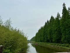 -黄海国家森林公园