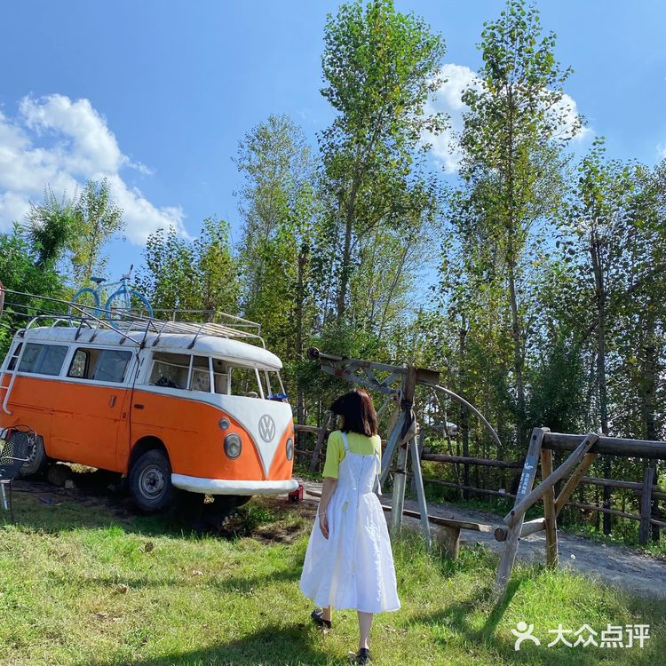 长春又一宝藏拍照地 沿路都是花海农家乐🌹