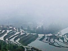-紫鹊界梯田景区