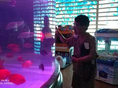 -印象·浅水湾(百乐门大厦店)