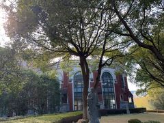 -华东政法大学(松江校区)