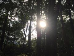 -花岩国家森林公园