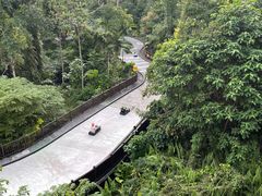 -圣淘沙天际线斜坡滑车