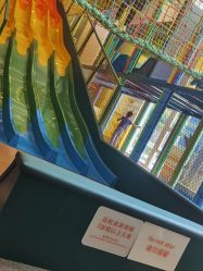 -海棠湾香格里拉度假酒店儿童探险乐园