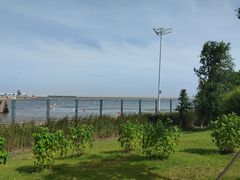 -鹦鹉洲湿地公园