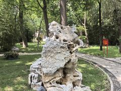 -君邦火锅(新疆大厦店)