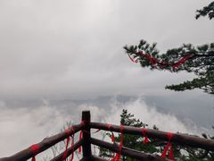 -秦岭天竺山景区