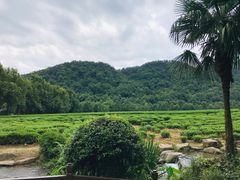 -中国茶叶博物馆(双峰馆区)