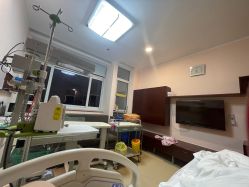 -复旦大学附属妇产科医院(杨浦院区)