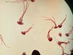 -沈阳海洋探索中心