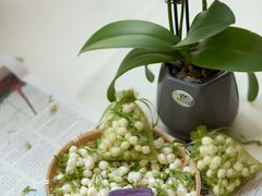 -福建鲤鱼洲酒店