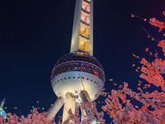 -东方明珠广播电视塔