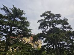 -青岛德国总督楼旧址博物馆