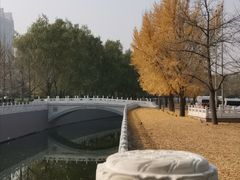 -朝阳公园体育中心