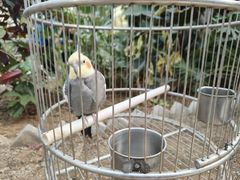 -南宫五洲植物乐园