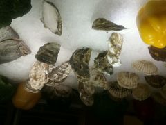 -东方红海鲜百汇(国际大厦店)