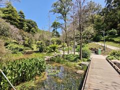 -云溪植物园