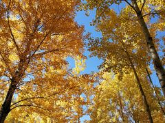 -鄂尔多斯野生动物园