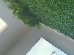 -南京医科大学友谊整形外科医院