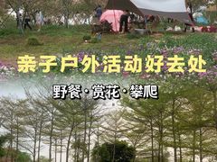 -天适樱花悠乐园