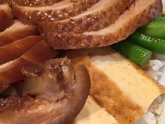 -狮头牌卤味研究所·卤味饭(花城汇南区店)