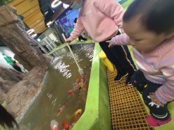 -七巧国萌宠乐园(龙湖天街店)