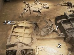 -洛阳周王城天子驾六博物馆