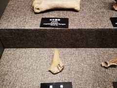 -河姆渡遗址博物馆