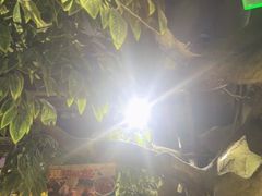 -城墙拐拐火锅(三峡广场黑金冠店)