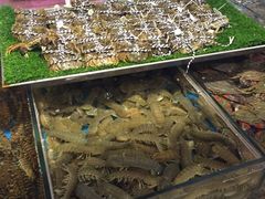 -渔公码头·九龙湾国际饭店