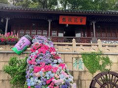 -苏州上方山国家森林公园