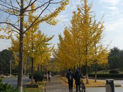 -浙江农林大学(东湖校区)