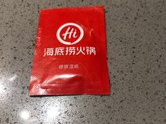 -海底捞火锅(公益西桥店)