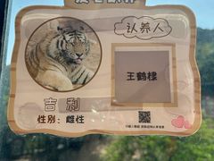 -大连森林动物园