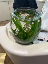-洛伊科技抗衰护肤中心