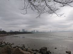 -深圳湾公园(南山区)