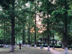 -中南财经政法大学(首义校区)