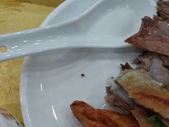 -姚林轩