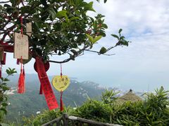 -东部华侨城