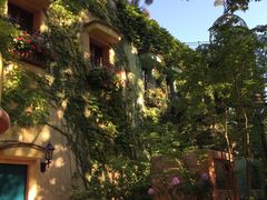 -三鹰之森吉卜力美术馆