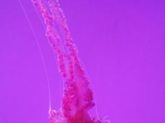 -沈阳海洋探索中心