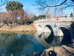 -梁鸿国家湿地公园